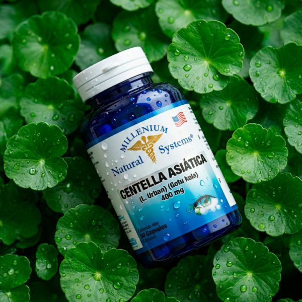 Centella Asiática 400 mg - Imagen 2
