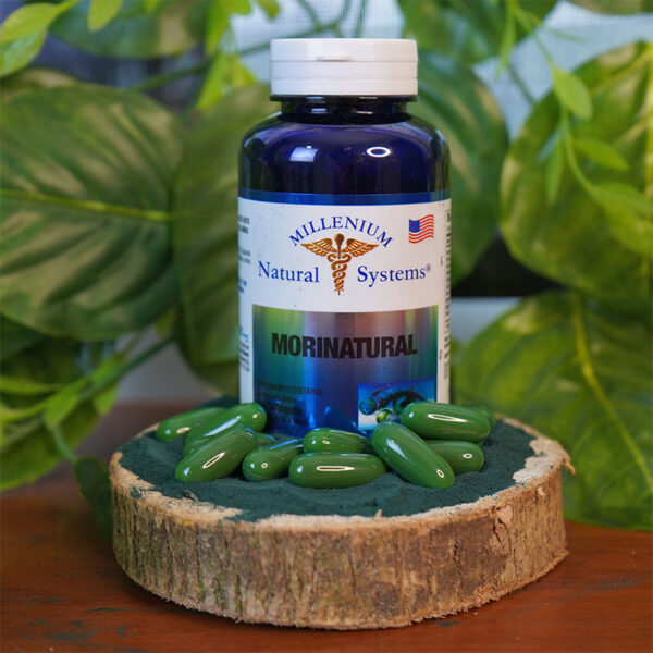 Morinatural (Moringa) - Imagen 2